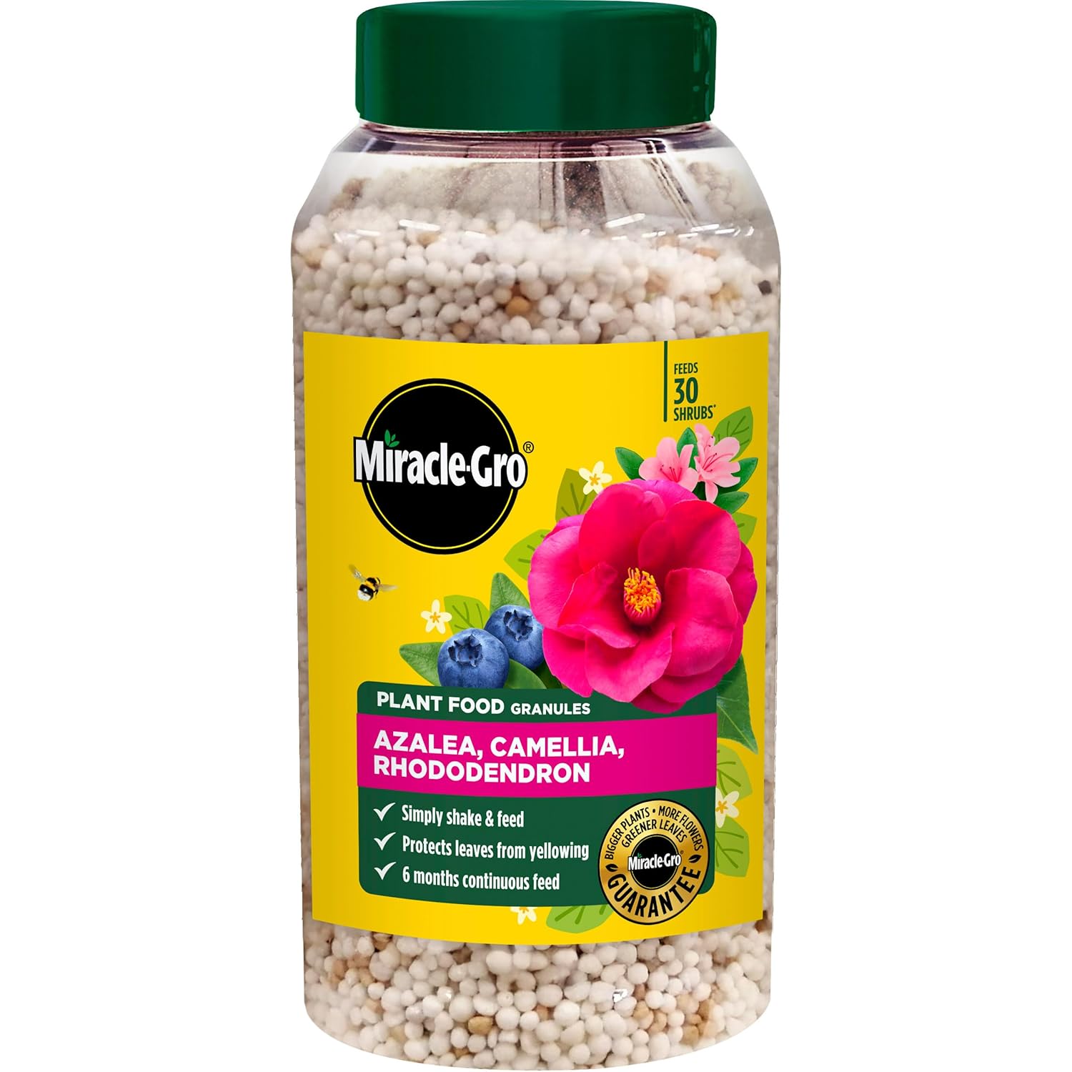 Miracle Gro Premium Azalea